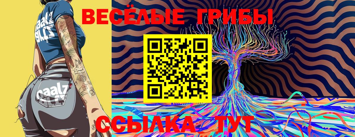 Бугуруслан  Галлюциногенные грибы Psilocybine cubensis  Вход с VPN 