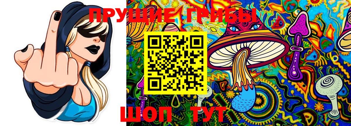 Галлюциногенные грибы мухоморы Бугуруслан